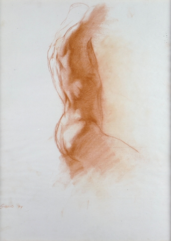 Ptorso.jpg (552365 bytes)